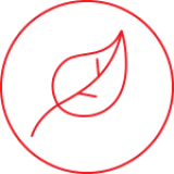 Environmental Product Declarations